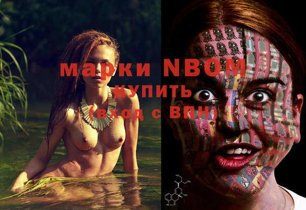 молекула духа Карпинск